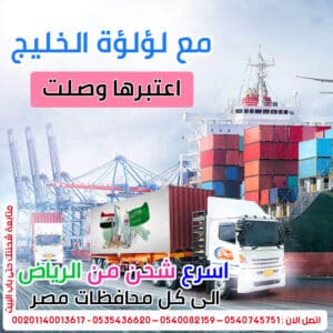 شركة-شحن-بالرياض-لمصر